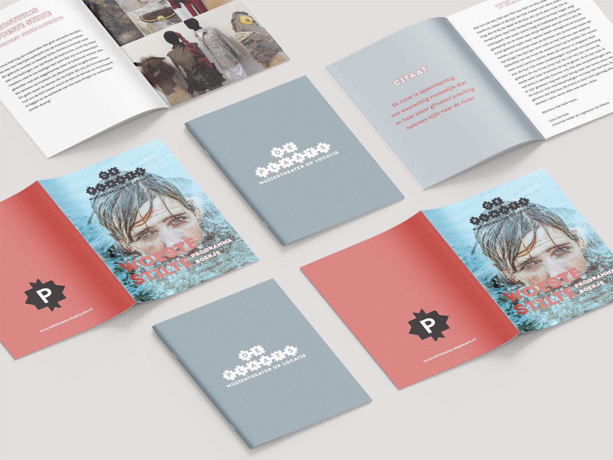 Grafisch-ontwerp-Gelderland-deplaats_02