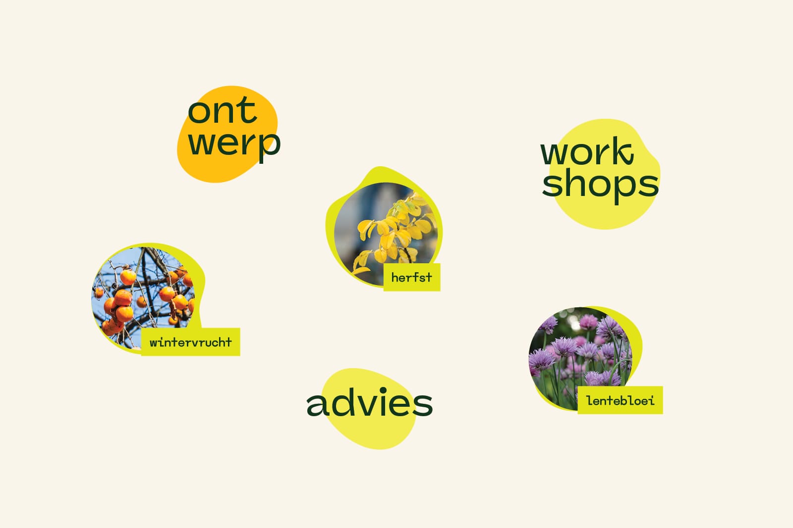 ontwerp visuele identiteit Nijmegen Vergroen