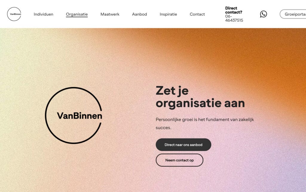 webdesign VanBinnen 2