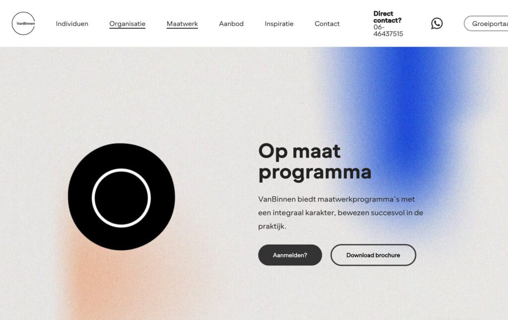 webdesign VanBinnen 3